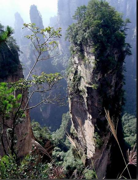 長沙出發(fā)到張家界溶洞奇觀黃龍洞、國家森林公園、袁家界、峰林之王天子山三日游（早班）